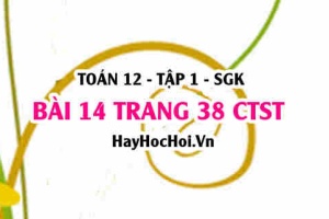 Bài 14 trang 38 Toán 12 tập 1 Chân trời sáng tạo